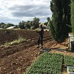 Orecchie Di Lepre בית נופש *