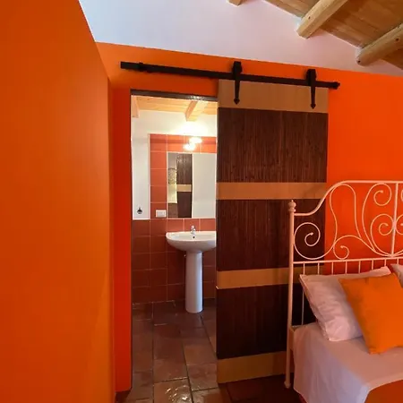 Orecchie Di Lepre * Syracuse