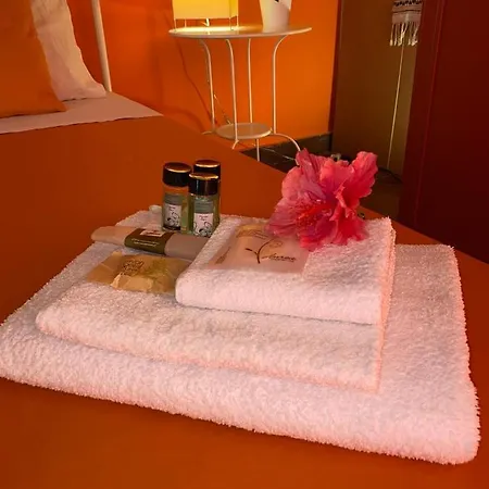 Orecchie Di Lepre Syracuse