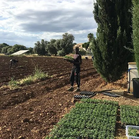 Orecchie Di Lepre Сasa de vacaciones *