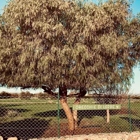 Orecchie Di Lepre בית נופש *