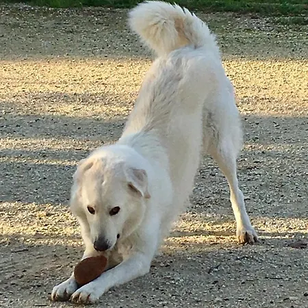 Orecchie Di Lepre Σπίτι διακοπών