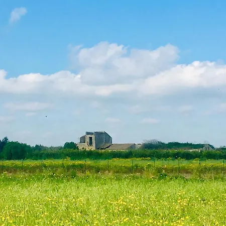 Orecchie Di Lepre シラクーサ